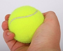 Hand Holding a Tennis Ball